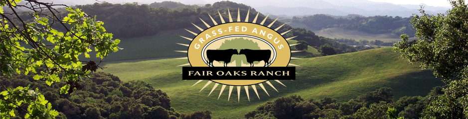Fair Oaks Cattle